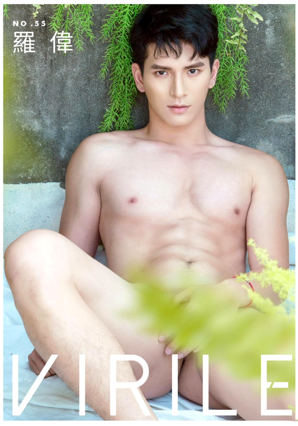 VIRILE-SEXY-NO.55-1.png
