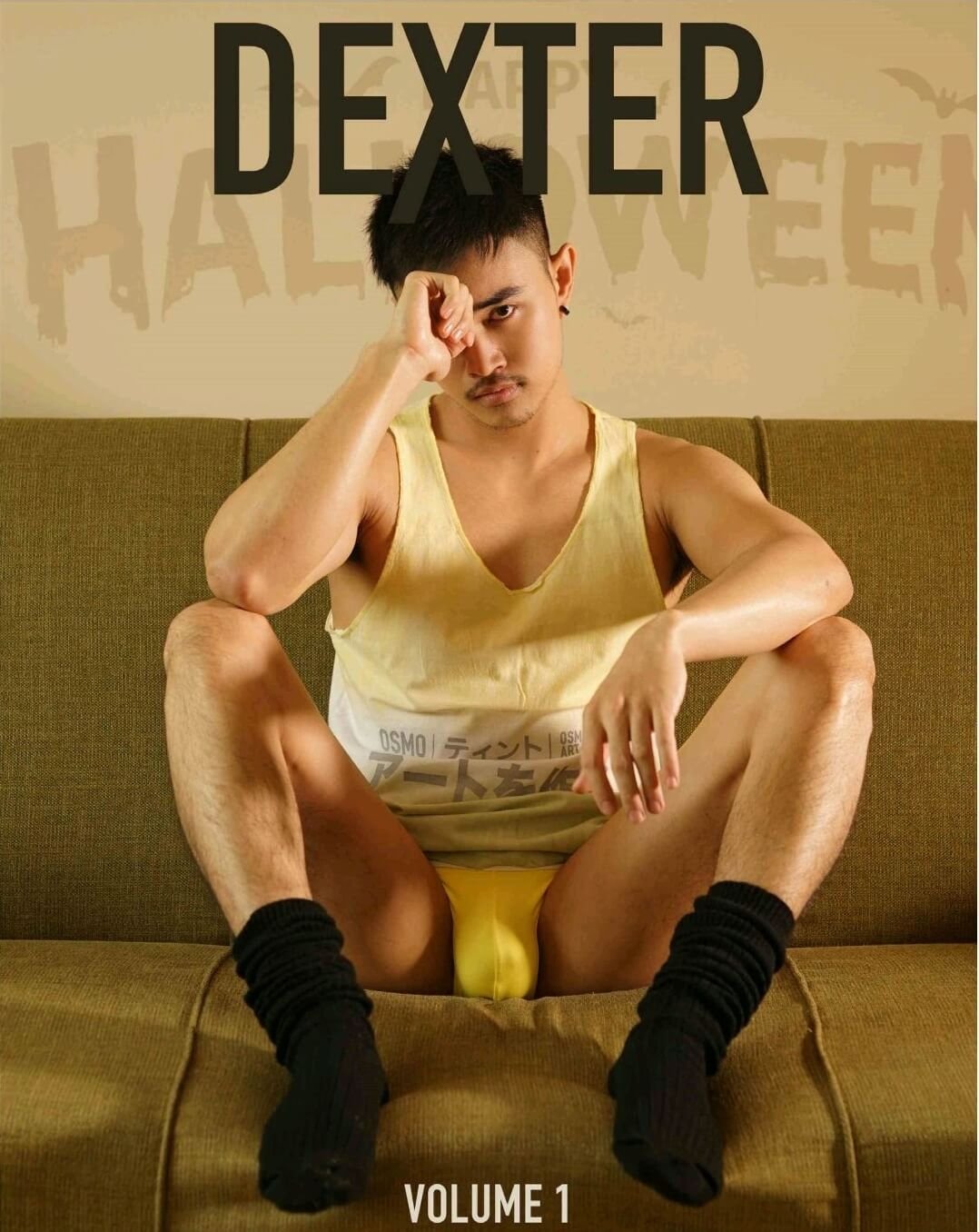 DEXTER VOL.01 EBOOK ศูนย์รวมคลิปเกย์เอเชีย01